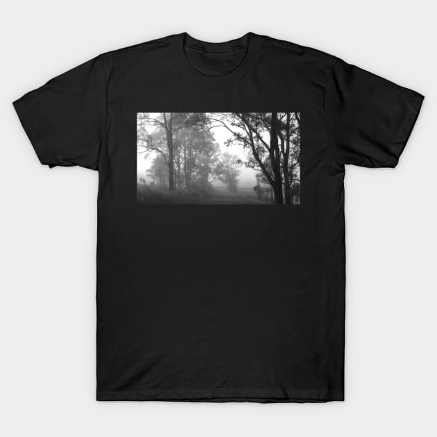 Foggy morning III T-Shirt by incredi